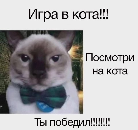 Игра в кота!! Посмотри на кота Ты