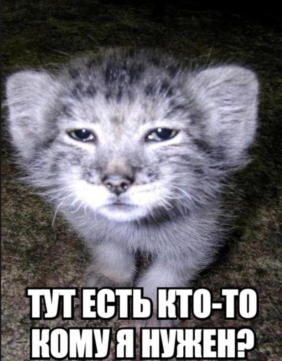 4 ТУТЕСТЬ КТО-ТО КОМУЯ