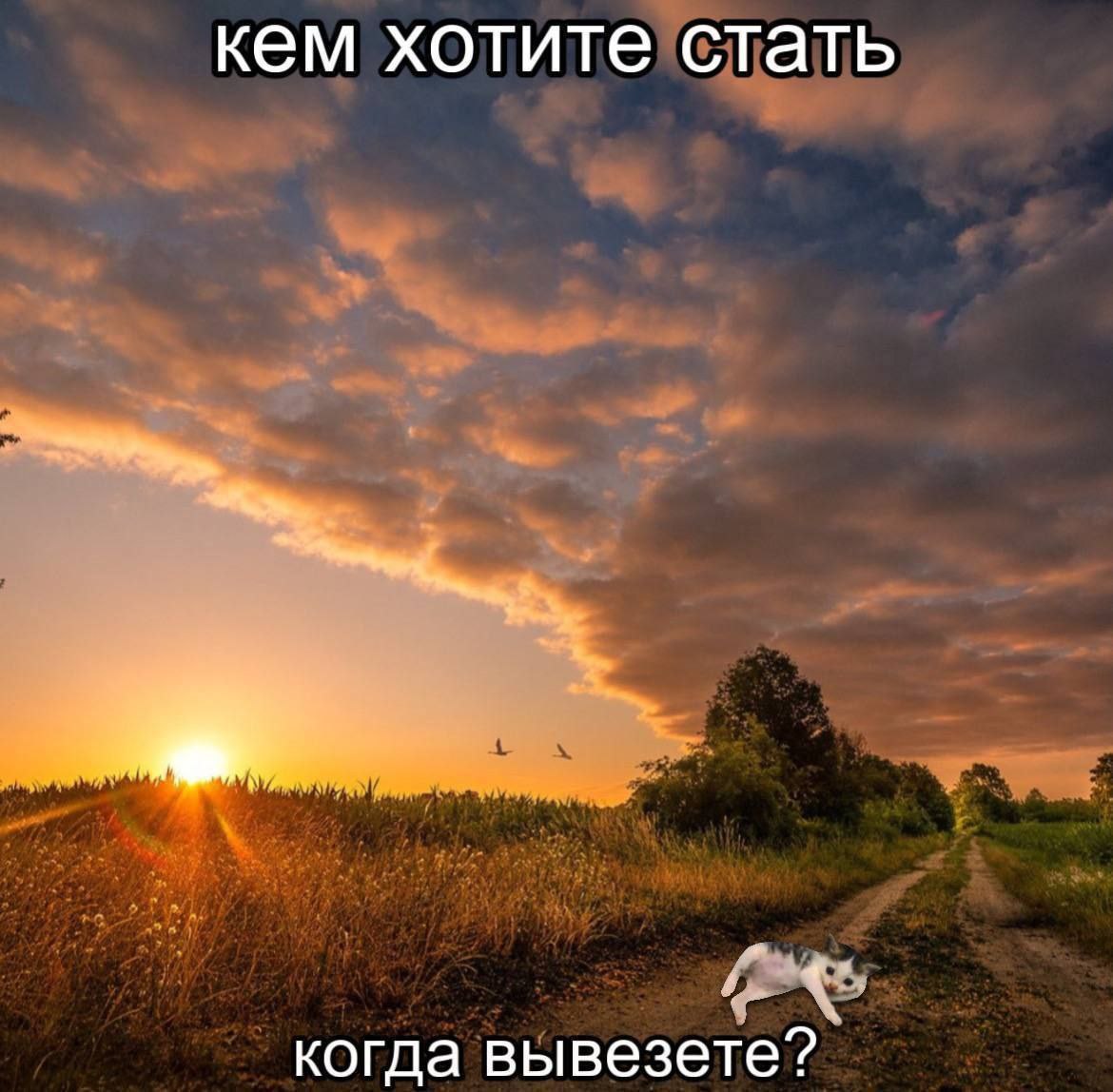кем хотите стать когда вывезете?