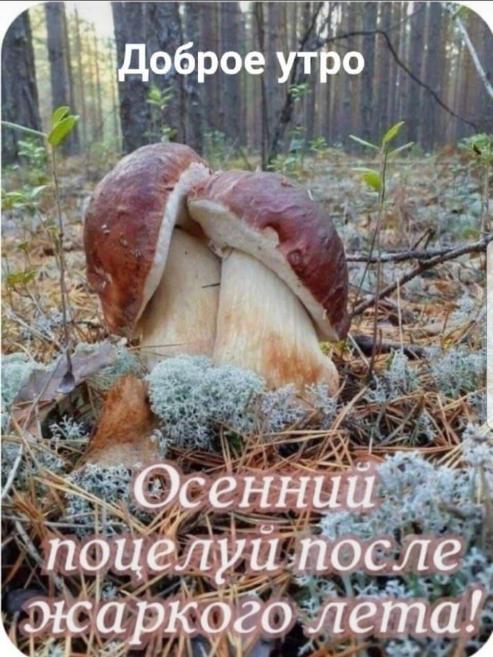 утро Осенний поцелуи после жаркого лета!
