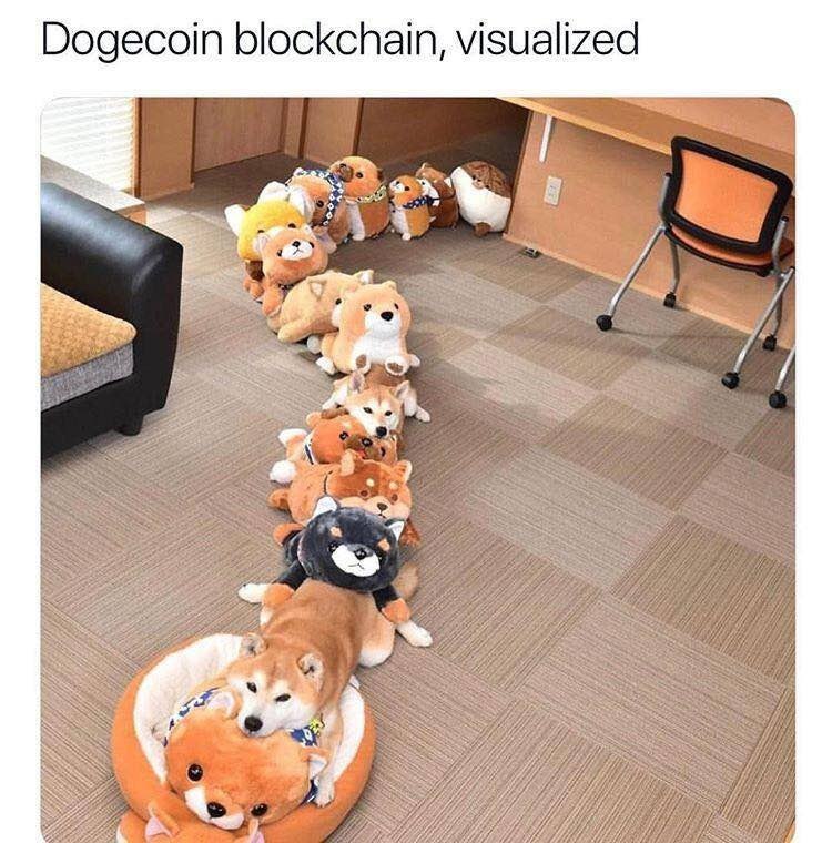 Dogecoin blockchain, visualized