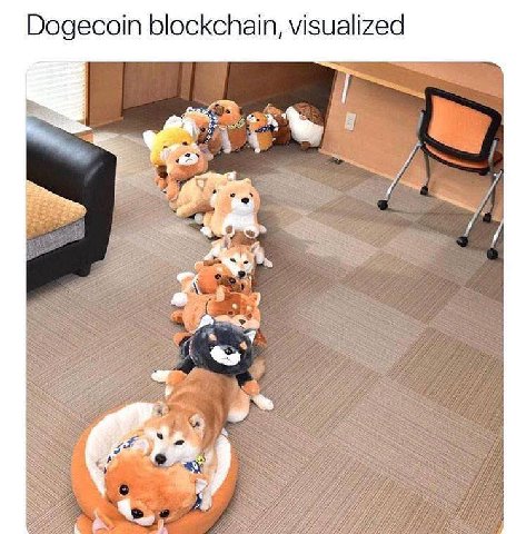Dogecoin blockchain, visualized