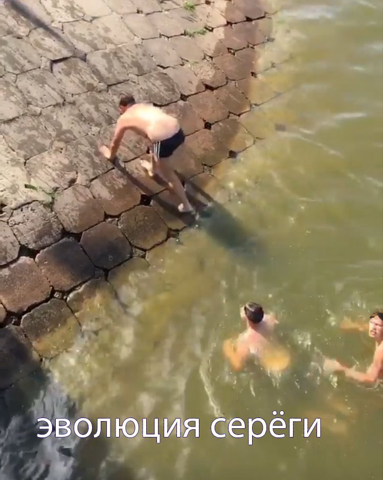 эволюция сереги