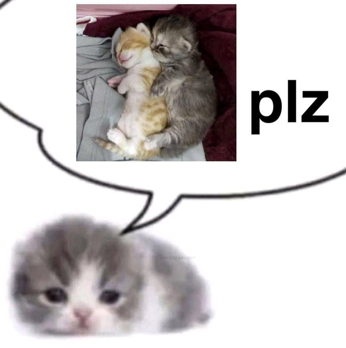 plz