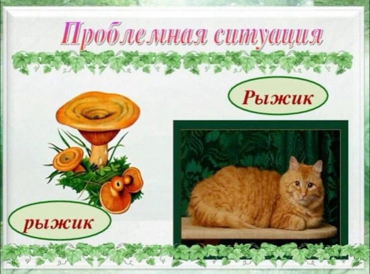 Проблемная tal