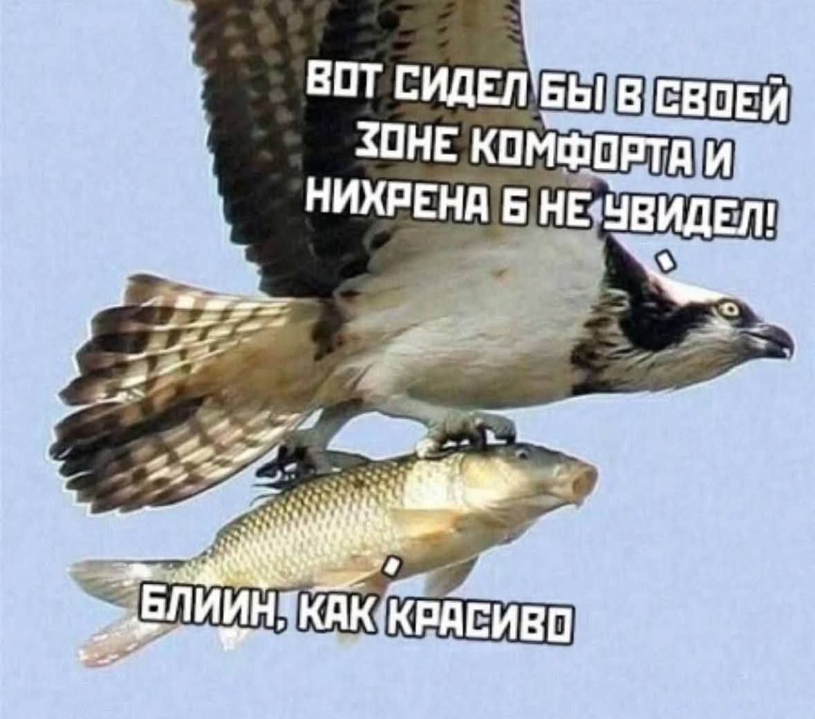 1 ВОТ СИДЕЛ В; НИХРЕНА HE а a 1 Pay и 44 tly a! i