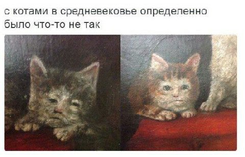 с котами в средневековье определенно было что-то не так 3