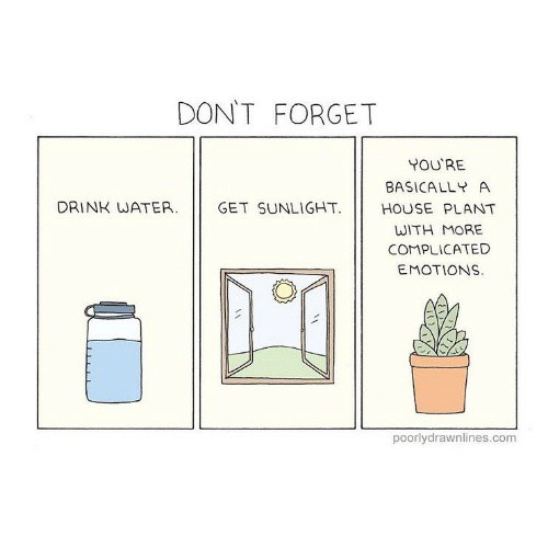 DONT FORGET YOURE BASICALLY A DRINK WATER. GET SUNLIGHT. HOUSE PLANT WITH MORE COMPLICATED EMOTIONS. poorlydrawnlines.com