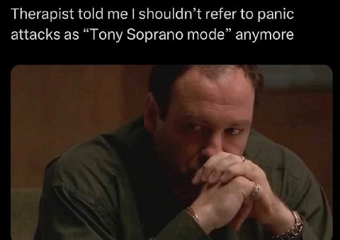 Therapist told shouldn’t refer to panic attacks as “Tony Soprano mode” anymore