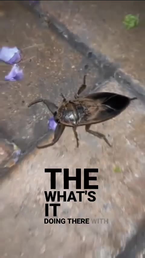 DOING THERE т