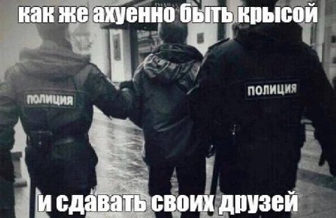 как же ахуенно быть крысой и сдавать своих друзей