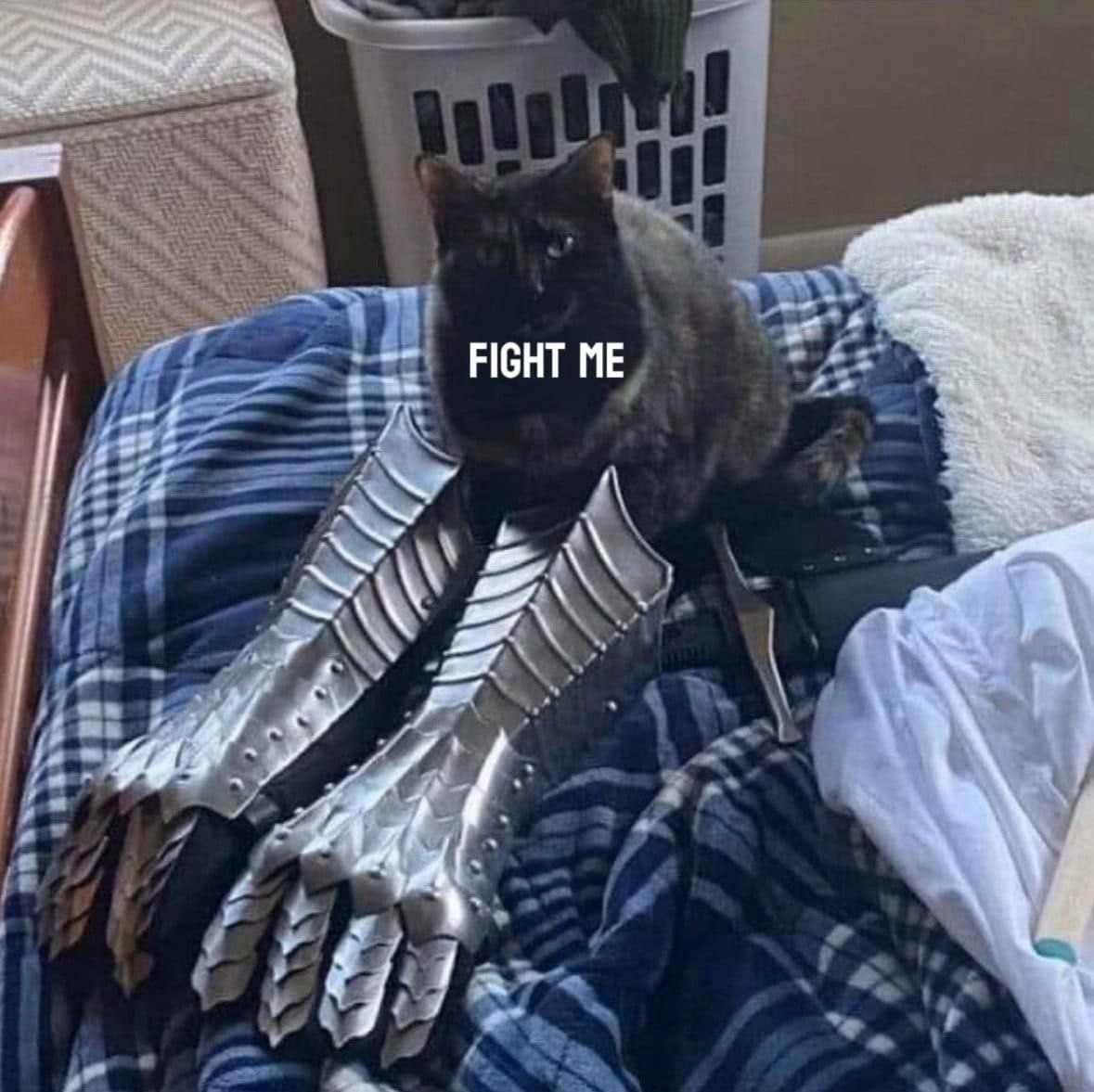 FIGHT