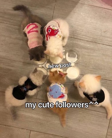 my cute