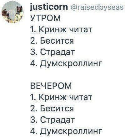 justicorn @raisedbyseas YTPOM 1. Кринж читат 2. Бесится 3. Страдат 4. Думскроллинг ВЕЧЕРОМ 1. Кринж читат 2. Бесится 3. Страдат 4. Думскроллинг