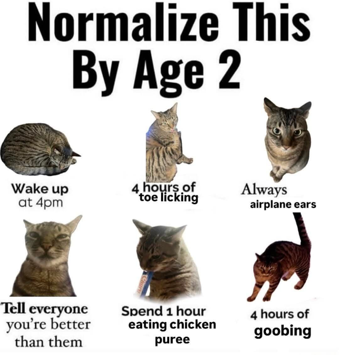 Normalize This Age 2 Wake up 4 fours of toe licking Always at airplane ears Tell everyone Spend 1 hour 4 hours of you're better eating chicken goobing than them puree