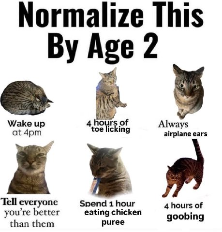Normalize This Age 2 Wake up 4 fours of toe licking Always at airplane ears Tell everyone Spend 1 hour 4 hours of you're better eating chicken goobing than them puree