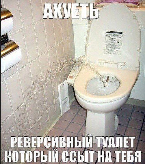 ТУАЛЕТ KOTOPbIM CCbIT НА ТЕБЯ