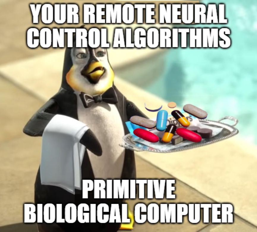 MOTENEURAL CONTROL ALGORITHMS BIOLOGICAL COMPUTER