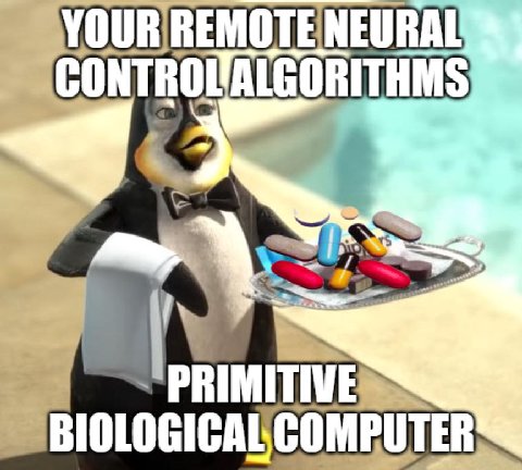 MOTENEURAL CONTROL ALGORITHMS BIOLOGICAL COMPUTER