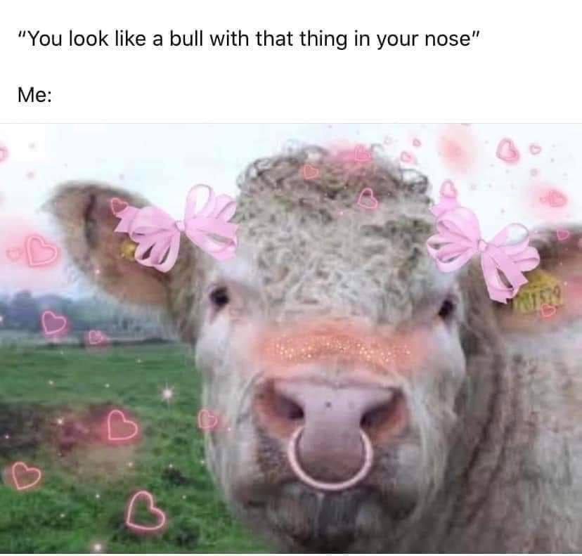 “You look like а bull with that thing in your позе" Me: hob
