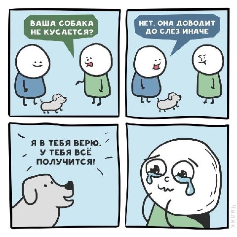 ВАША СОБАКА НЕТ, ОНА ДОВОДИТ НЕ КУСАЕТСЯ? ДО СЛЕЗ ИНАЧЕ Я В ТЕБЯ ВЕРЮ, У ТЕБЯ BCE ПОЛУЧИТСЯ! AXA)