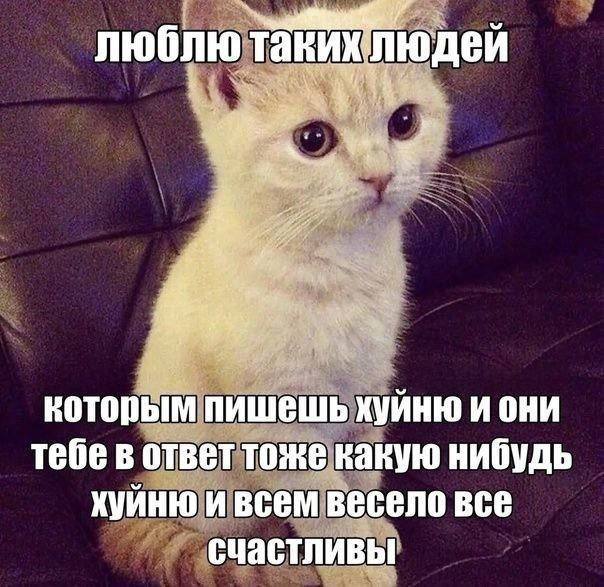 люблю таких людеи которым пишешь хуйню и они тебе в ответ тоже какую нибудь хуйню и всем весело все счастливы