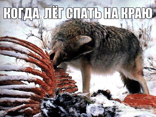 Of ДА 77