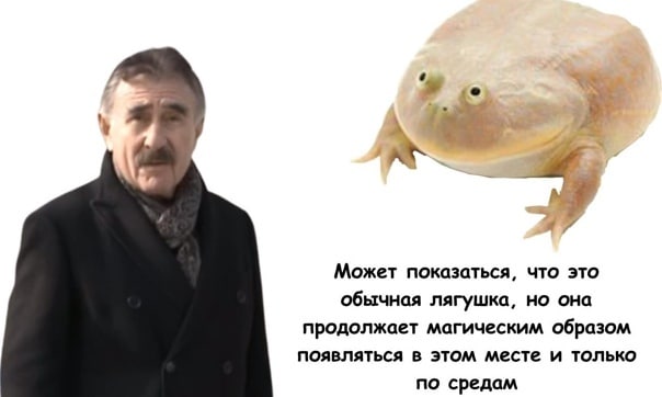Может показаться, что это обычная лягушка, но она продолжает магическим образом появляться в этом месте и только по средам