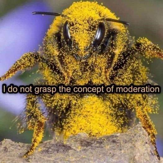 not grasp the concept of AS