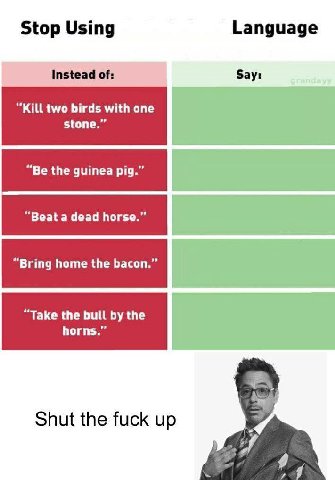 Stop Using Language Instead of: Say: ‘Kill two birds with one stone.” “Be the guinea pig.” “Beat a dead horse.” “Take the bull the horns.” Shut the fuck up я