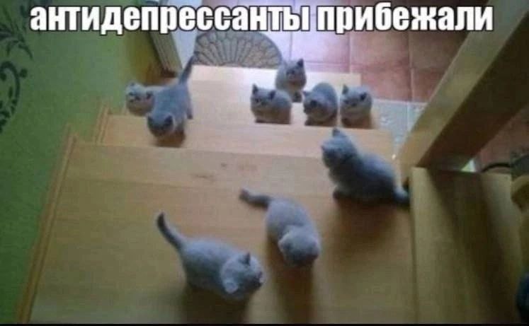 прибежали