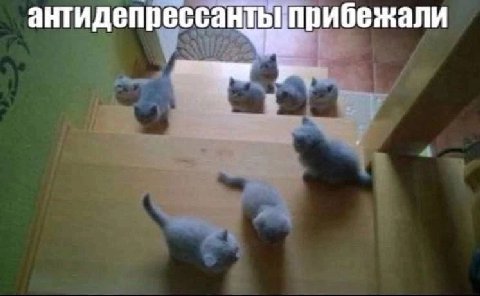 прибежали