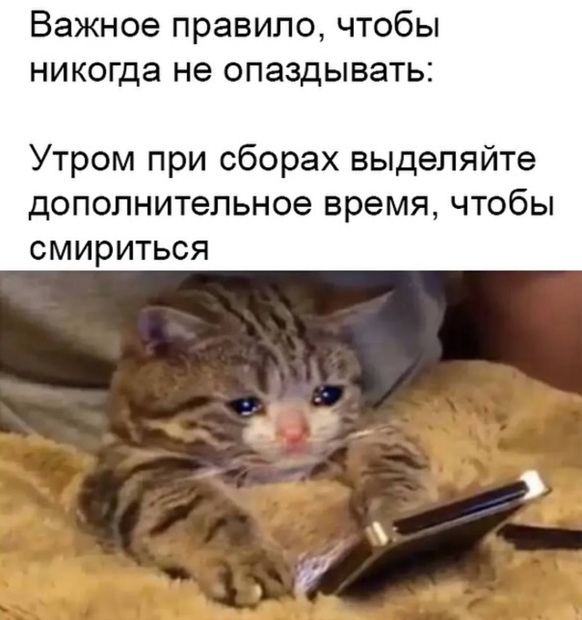 Важное правило, чтобы никогда не опаздывать: Утром при сборах выделяйте дополнительное время, чтобы смириться