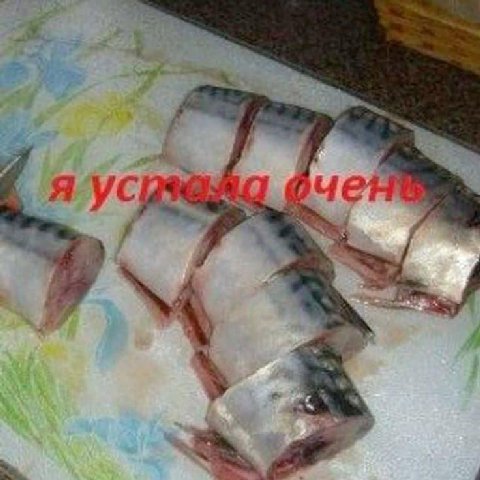 vag 7 я 5 У
