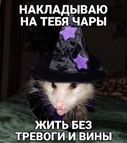 я нихуевая волшебница и у меня это получится