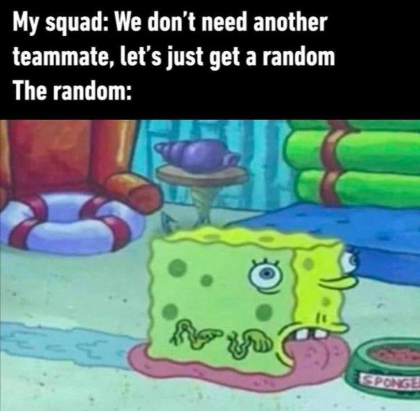 My squad: We don’t need another teammate, just get a random The random: