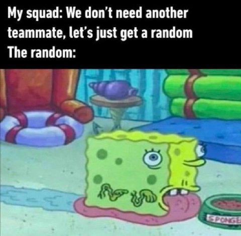 My squad: We don’t need another teammate, just get a random The random: