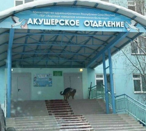 АКУШЕРСКОЕ ОТДЕЛЕНИЕ
