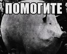 ПОМОГИТЕ у