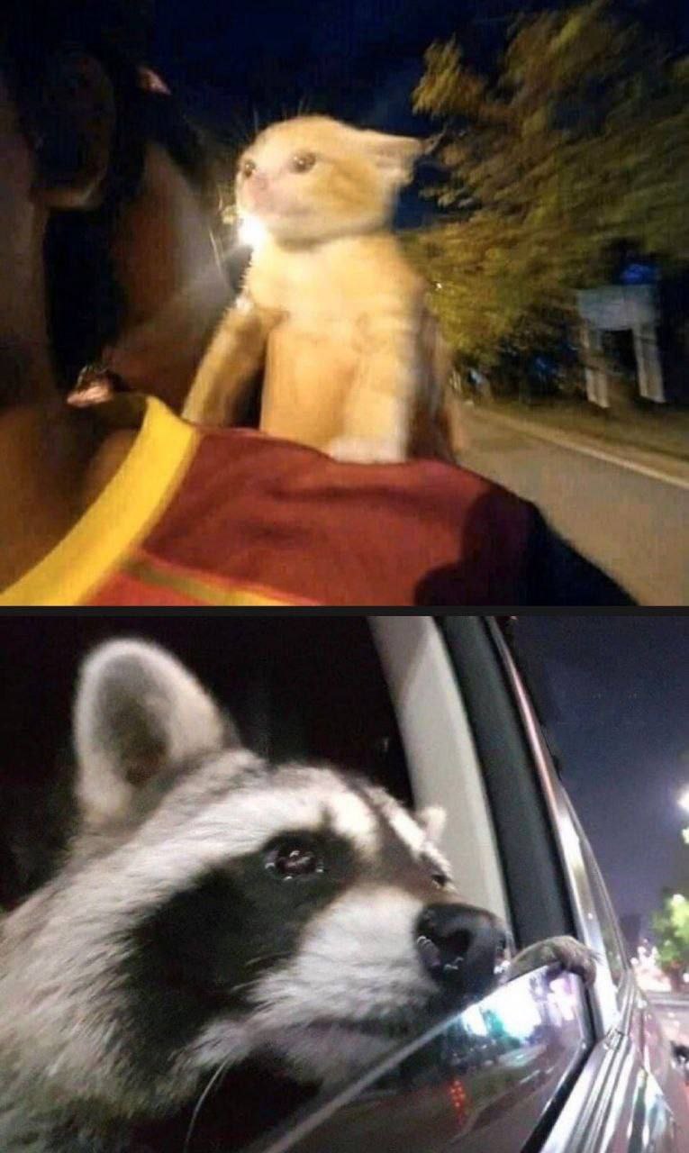 небо уронит ночь на ладони