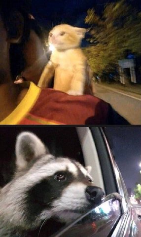 небо уронит ночь на ладони