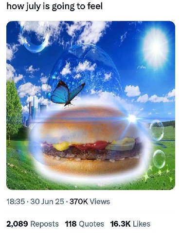 how july is going to feel a 18:35 30 Jun 25 Views 2,089 Reposts 118 Quotes Likes