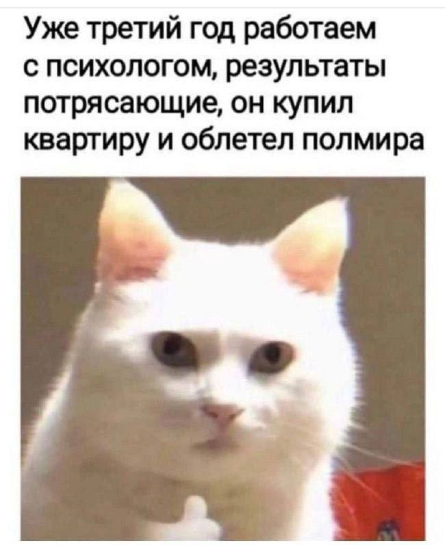Уже третий год работаем с психологом, результаты потрясающие, он купил квартиру и облетел полмира