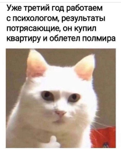 Уже третий год работаем с психологом, результаты потрясающие, он купил квартиру и облетел полмира