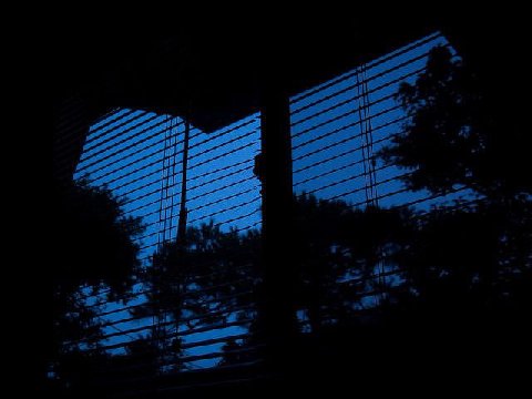 господа, я решительно не понимаю нахуя вам несбитый режим летом, когда перед сном всё выглядит буквально так
