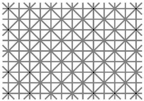 72 72 5317253