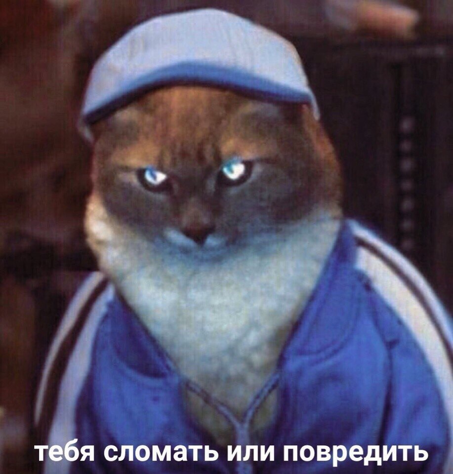 тебя сломать или повредить