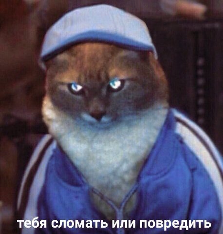 тебя сломать или повредить