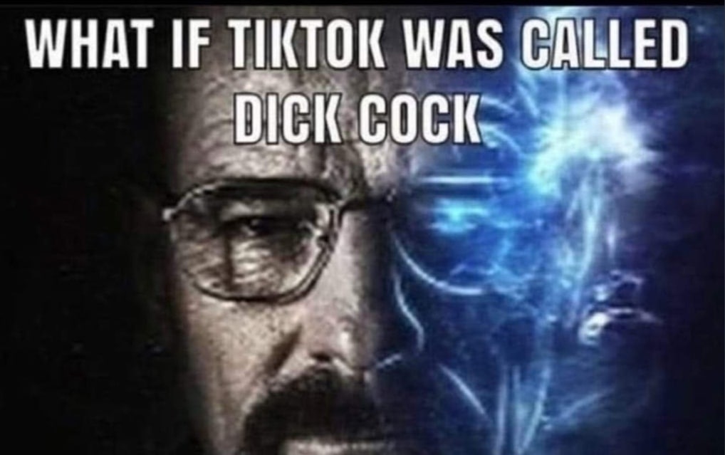 WHAT IF TIKTOK WAS CALLED DICK COCK.