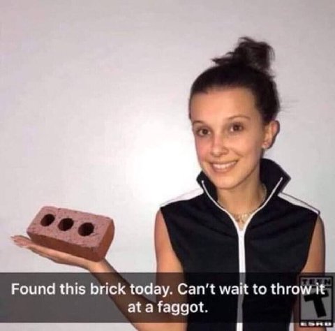 Found this brick today. wait to at a faggot. 4